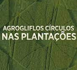 Agroglifos: Círculos nas Plantações