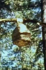 The Bee Hive (The Bee Hive)