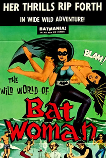 The Wild World of Batwoman - Poster / Capa / Cartaz - Oficial 3