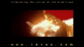 Trailer: BLACK CAT (1981) Trailer for Lucio Fulci's hilarious horror about a possessed killer cat