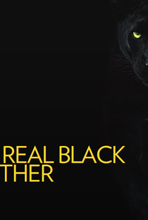 Pantera Negra: O Reino Selvagem - Poster / Capa / Cartaz - Oficial 1