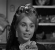 Wrongo Starr and the Lady in Black