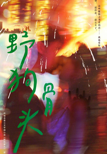 Mo Dao Sang Yu Wan (莫道桑榆晚)