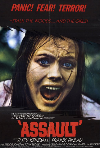 Poster 1 de Filme Terror no Bosque (1971)
