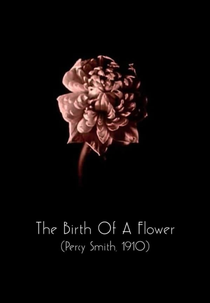 The Birth of a Flower (The Birth of a Flower)