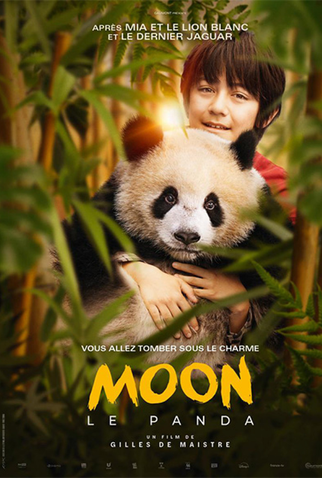 Poster 3 de Filme O Menino e o Panda (2025)