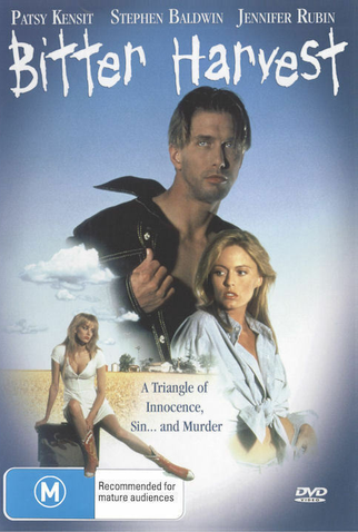 Poster 3 de Filme Três Desejos (1993)