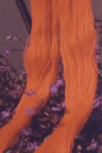 Poster de Curta The Red Thread (1987)