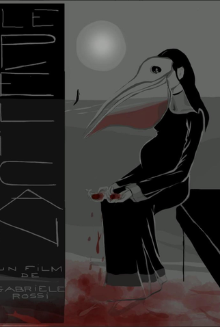 Poster 1 de Curta O Pelicano (2015)