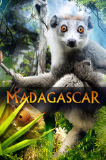 Madagascar 3D (Madagascar 3D)