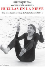 Pegadas na neve (Huellas en la nieve)