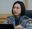 33회