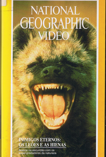 National Geographic -  Inimigos Eternos: Os Leões e as Hienas - Poster / Capa / Cartaz - Oficial 1