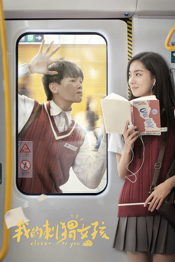 Poster de Franquia 我的刺猬女孩 (2020)