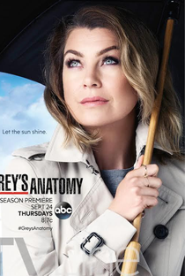 A Anatomia de Grey (12ª Temporada) - Poster / Capa / Cartaz - Oficial 1