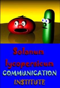 Solanum Lycopersicum Communication (Solanum Lycopersicum Communication)