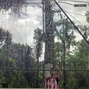 Foto de perfil de Diego