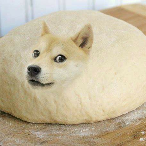 Foto de perfil de dan