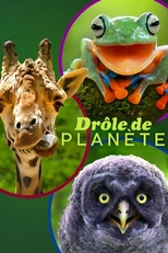 Absurd Planet (Absurd Planet)