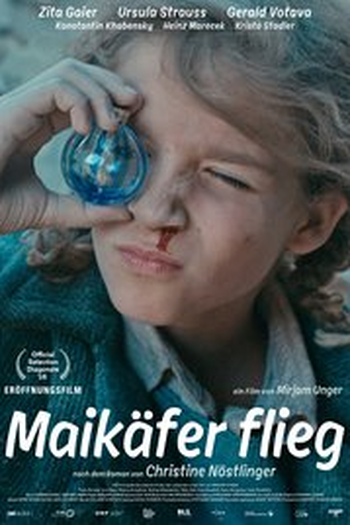 Poster de Filme Maikäfer flieg (2016)
