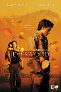 Everwood: Uma Segunda Chance (4ª Temporada) - Poster / Capa / Cartaz - Oficial 2