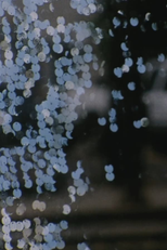 The Dragon Is the Frame (The Dragon Is the Frame)