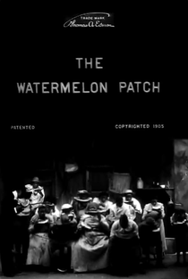 The Watermelon Patch - Poster / Capa / Cartaz - Oficial 1