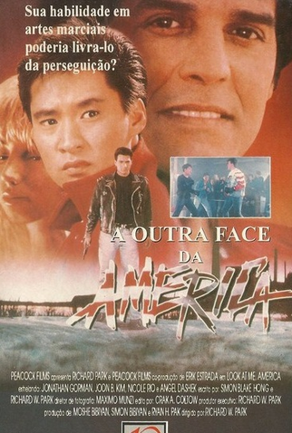 Poster 1 de Filme A Outra Face da América (1991)
