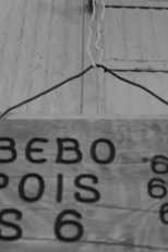 Só Bebo Depois das 6 (Só Bebo Depois das 6)