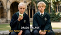 Novo elenco de Harry Potter é comparado ao original em vídeo viral