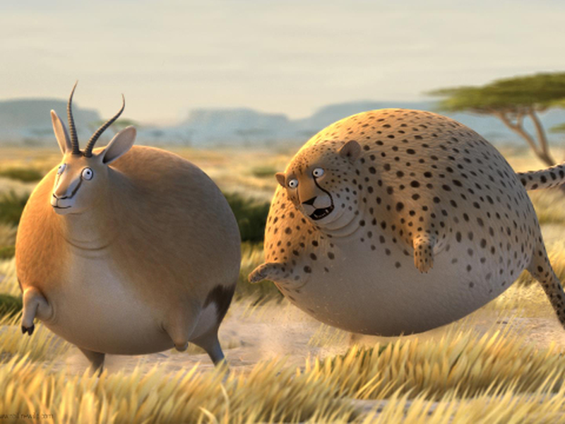 Foto 3 de Rollin' Safari