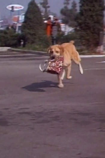 Poster de Episódio The Big Dog (1967)