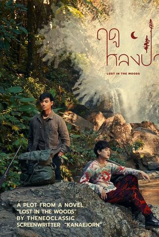 Poster 3 de Série Lost In The Woods (2025)