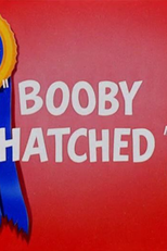 O Patinho Perdido (Booby Hatched)