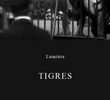 Tigres