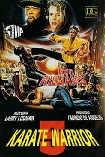 Poster de Filme KARATE WARRIOR 5: A VINGANÇA (1992)
