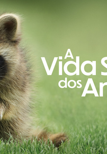 A vida Secreta dos Animais (The Secret Lives of Animals)