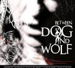 Between Dog and Wolf: The New Model Army Story