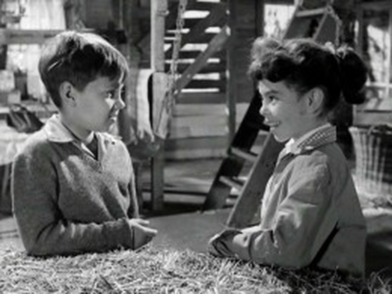 Foto 4 de A Estrela e a Cruz