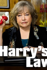 A Lei de Harry (2ª Temporada) (Harry's Law (Season 2))