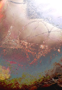 A Dança da Vida (A Dança da Vida)