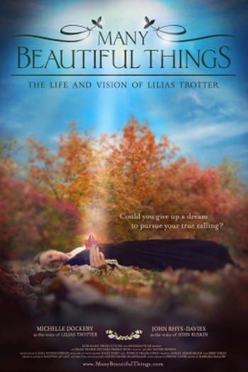 Poster de Filme Many Beautiful Things (2015)