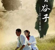 Qing Gu Zi