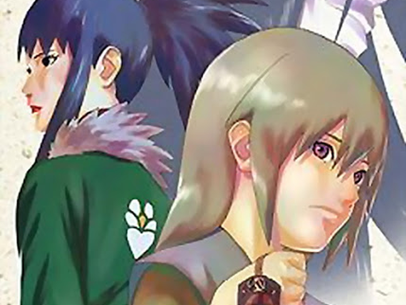 Foto 10 de Naruto Shippuden (5ª Temporada)
