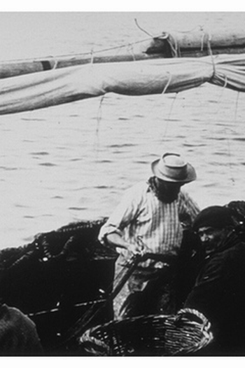 Poster de Curta Pesca de Sardinhas (1896)
