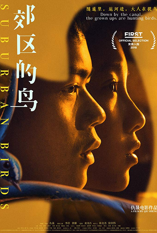 Poster 1 de Filme Pássaros Suburbanos (2018)