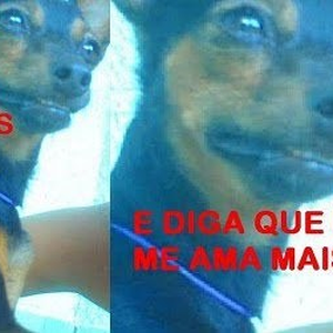 Foto de perfil de Fuck!