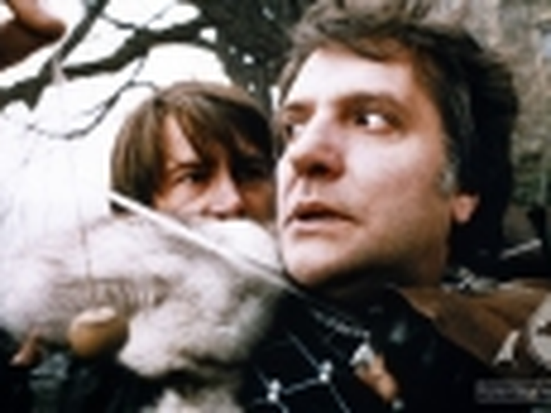 Foto 6 de Ognisty Aniol