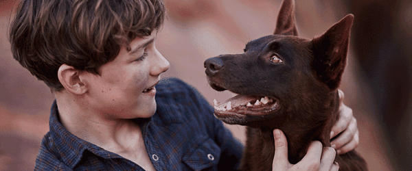  - Aussie classic Red Dog returns in 2016 in the...