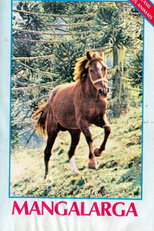 Manga Larga - O Cavalo de Sela Brasileiro (Manga Larga: O Cavalo de Sela Brasileiro)